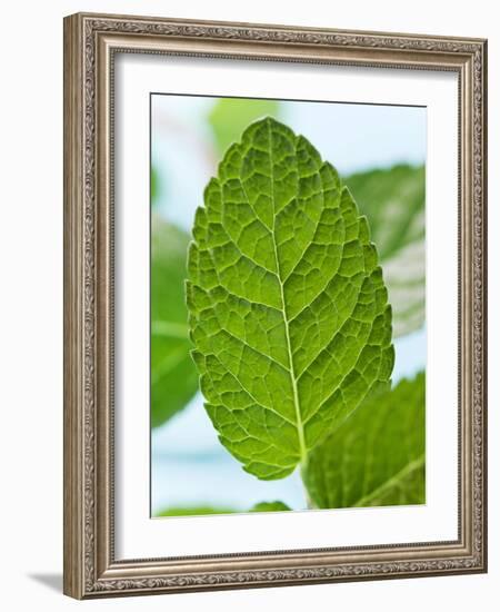 Mint-null-Framed Photographic Print