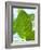 Mint-null-Framed Photographic Print