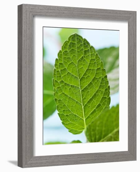 Mint-null-Framed Photographic Print