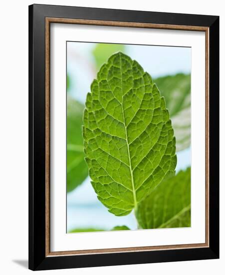 Mint-null-Framed Photographic Print