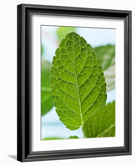 Mint-null-Framed Photographic Print