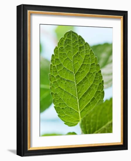 Mint-null-Framed Photographic Print