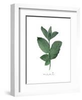 Mint-Jo Moulton-Framed Art Print