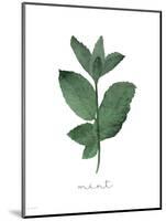 Mint-Jo Moulton-Mounted Art Print