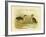 Minute Bittern, 1891-Gracius Broinowski-Framed Giclee Print