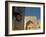 Mir-I-Arab Medressa, UNESCO World Heritage Site, Bukhara, Uzbekistan, Central Asia-Michael Runkel-Framed Photographic Print