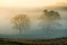 Misty Battlefield, Gettysburg National Military Park, Pennsylvania, USA-Mira-Framed Premier Image Canvas