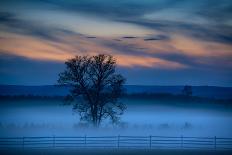 Moody Morning Landscape, Gettysburg Battle Field, Adams County, Pennsylvania, USA-Mira-Mounted Photographic Print