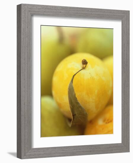 Mirabelle-Jean Cazals-Framed Photographic Print