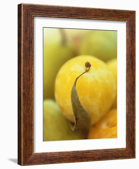 Mirabelle-Jean Cazals-Framed Photographic Print