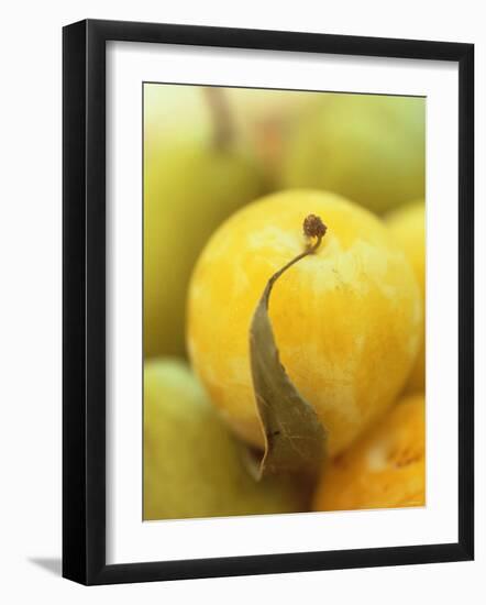 Mirabelle-Jean Cazals-Framed Photographic Print