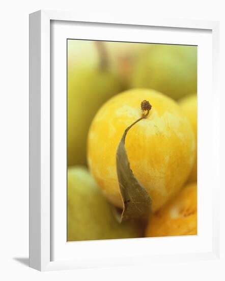 Mirabelle-Jean Cazals-Framed Photographic Print