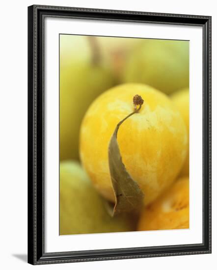 Mirabelle-Jean Cazals-Framed Photographic Print