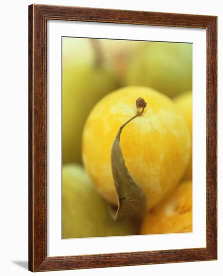 Mirabelle-Jean Cazals-Framed Photographic Print