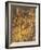 Miracle of Cross at Bridge of San Lorenzo-Gentile Bellini-Framed Giclee Print