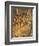 Miracle of Cross at Bridge of San Lorenzo-Gentile Bellini-Framed Giclee Print