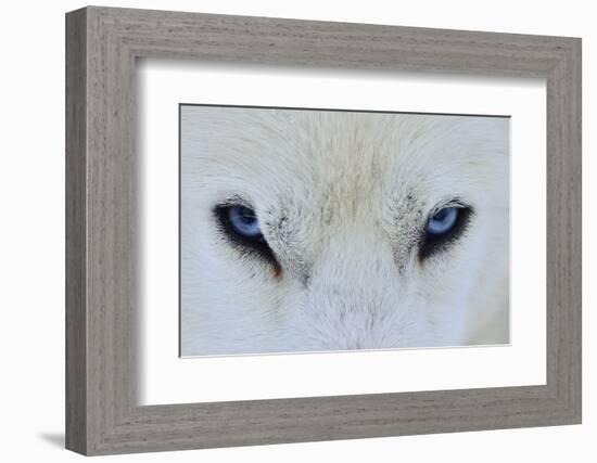 Mirada Azul-miquel angel artús-Framed Photographic Print