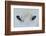 Mirada Azul-miquel angel artús-Framed Photographic Print