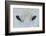 Mirada Azul-miquel angel artús-Framed Photographic Print