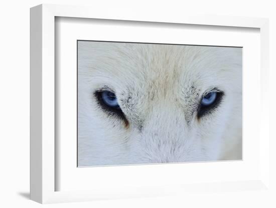 Mirada Azul-miquel angel artús-Framed Photographic Print