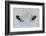 Mirada Azul-miquel angel artús-Framed Photographic Print