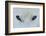 Mirada Azul-miquel angel artús-Framed Photographic Print