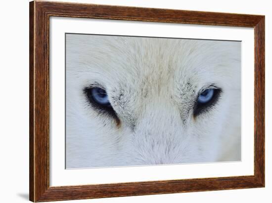 Mirada Azul-miquel angel artús-Framed Photographic Print