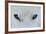 Mirada Azul-miquel angel artús-Framed Photographic Print