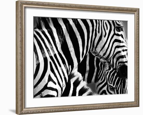 Mirage - Detail-Bobbie Goodrich-Framed Giclee Print