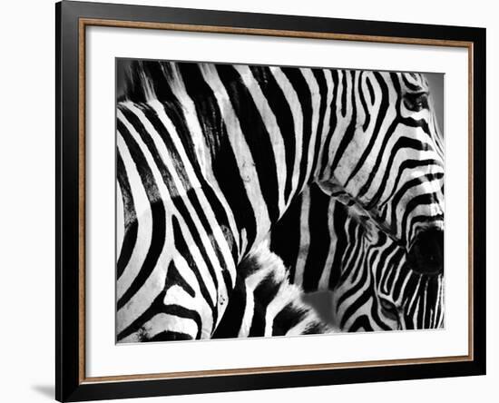 Mirage - Detail-Bobbie Goodrich-Framed Giclee Print