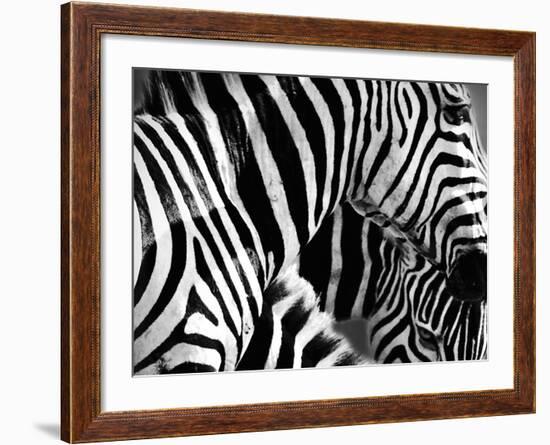 Mirage - Detail-Bobbie Goodrich-Framed Giclee Print