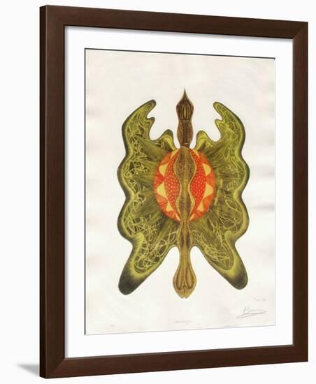 Mirage-Ben Banay-Framed Limited Edition