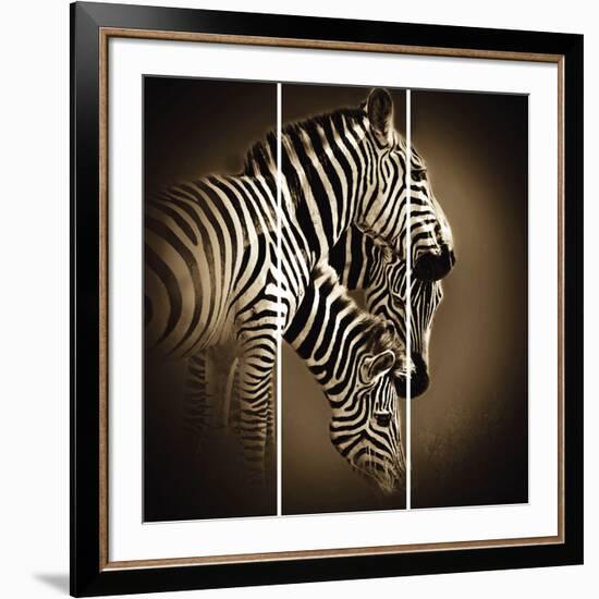 Mirage-Bobbie Goodrich-Framed Giclee Print