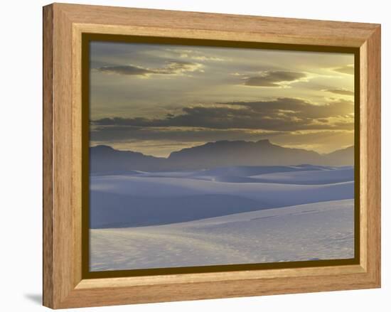 Mirage-Art Wolfe-Framed Premier Image Canvas