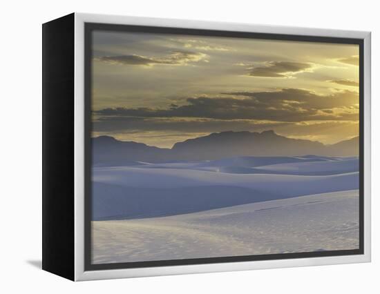 Mirage-Art Wolfe-Framed Premier Image Canvas