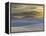 Mirage-Art Wolfe-Framed Premier Image Canvas