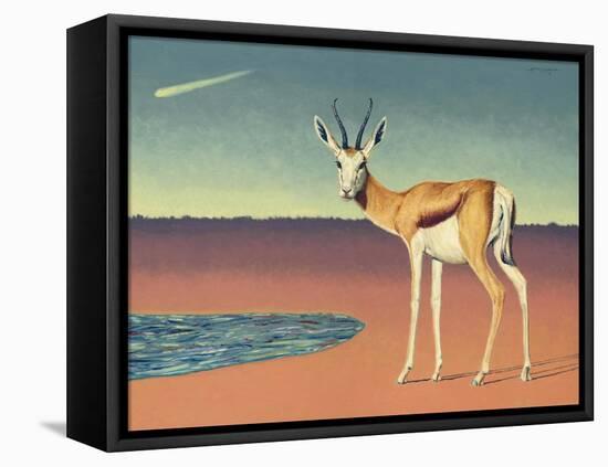 Mirage-James W Johnson-Framed Premier Image Canvas