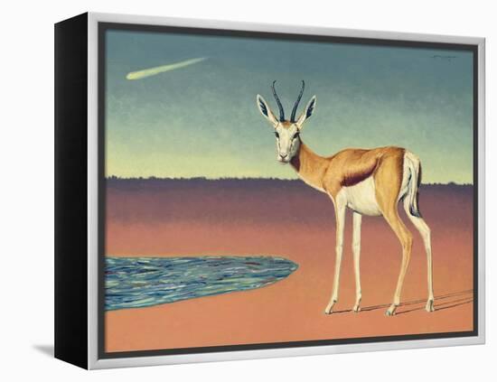 Mirage-James W Johnson-Framed Premier Image Canvas