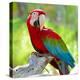 Stretched Canvas Print