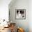 Mireille Darc-null-Framed Photo displayed on a wall