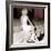 Mireille Darc-null-Framed Photo