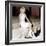 Mireille Darc-null-Framed Photo