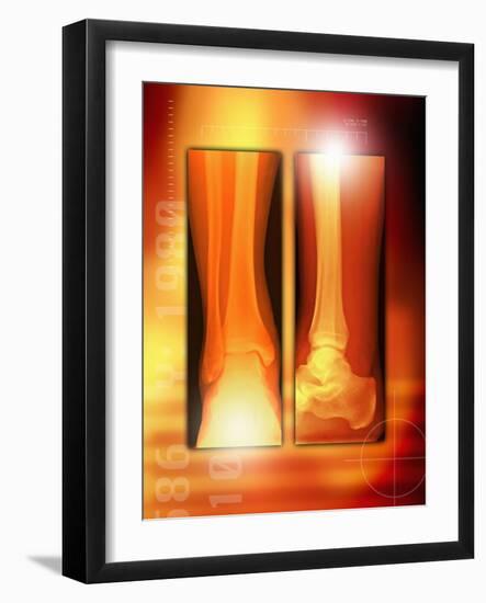 Photographic Print, , large