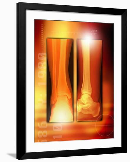 Photographic Print, , large