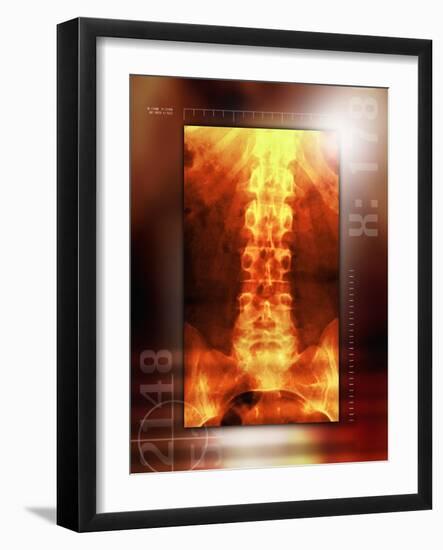 Photographic Print, , large