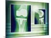 Premium Photographic Print