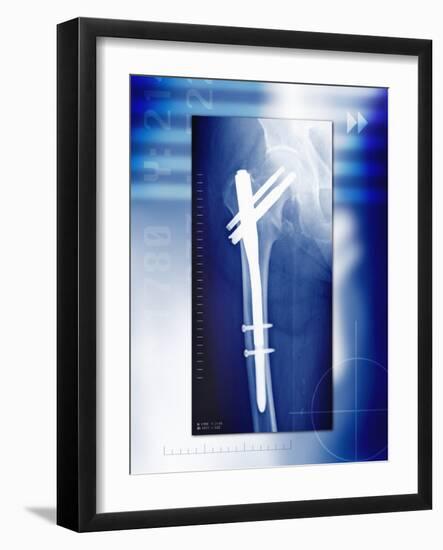 Photographic Print, , large