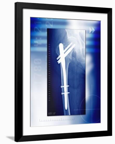 Photographic Print, , large