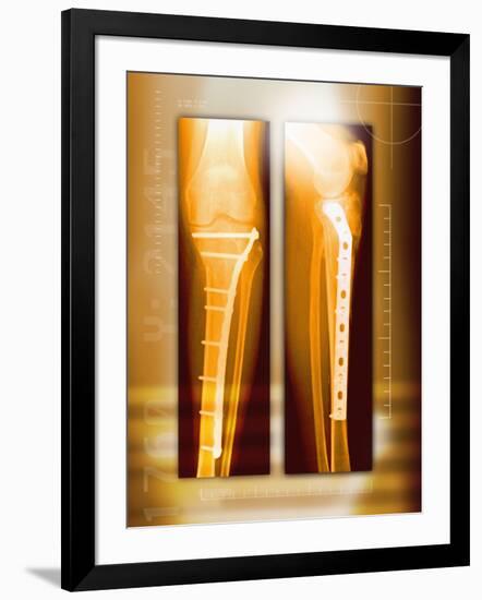 Photographic Print, , large