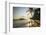 Mirissa Beach, Couple Taking a Romantic Walk under a Palm Tree at Sunset, South Coast-Matthew Williams-Ellis-Framed Photographic Print